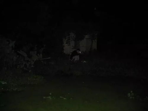 那东西深厚夜的寂静