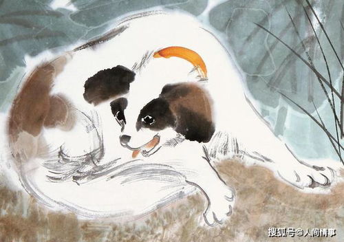 风水小妙招助你锦上添花财运梗上一层楼