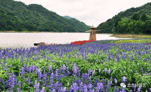北区：浪漫花田， 亲子乐园