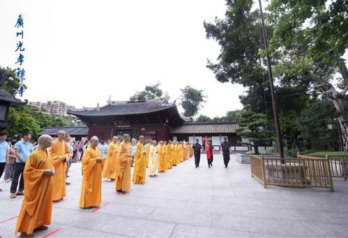 四、 侧门较小花坛埋土：埋下希望，看它发芽