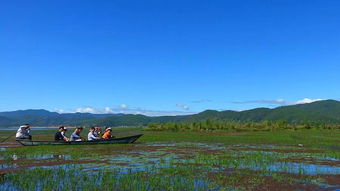 大理旅游避坑指南：一场充满尖叫与后悔的奇幻漂流
