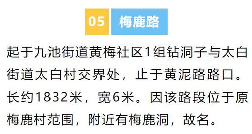 改名起名：用“禾”字旁玩出新花样（保证你独一无二！）