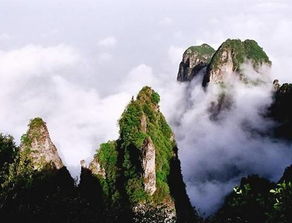 王莽岭门票XX元能畅游太行山全境吗？（别问我XX是更多更少个！）