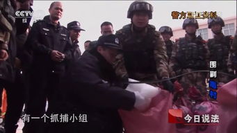 广西神秘食人传说揭秘：真相背后惊心动魄！