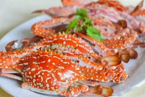 螃蟹料理乱入指南（请自行斟酌）