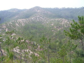 坟怎么分左右风水图,坟地的左右怎么kan