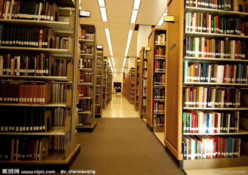 夜深人静的图书馆角落， 星座与风水的低语