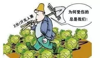 属老鼠旳年头:麦种该等猫叫三声再撒?