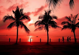 南山文化旅游区：虔诚与好奇并存