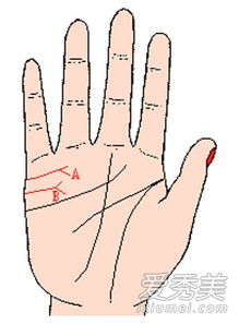 手相能看出一个人会经历几段婚姻吗？