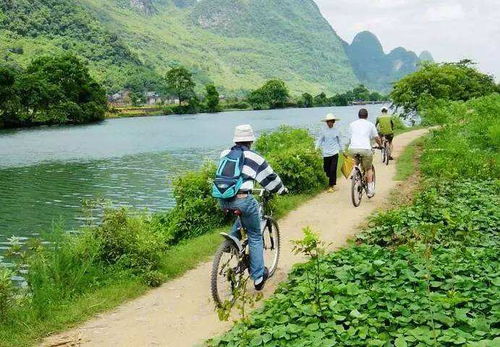 阳朔骑行：累死你活该！