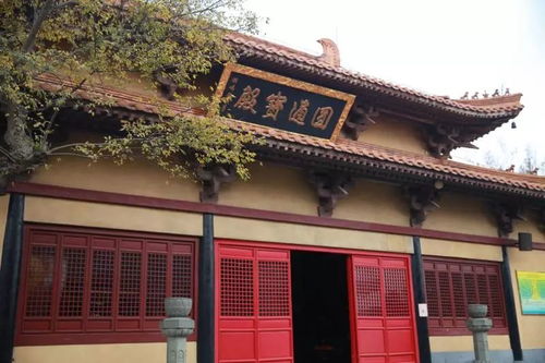 自助体验：自己也能设计出绝世佳号吗？