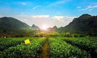五、 江西德兴攻略：自然风光与文化遗产