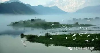 2. 白鹭湖：湿地生态的瑰宝