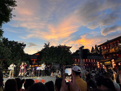 民谣音乐广场——让吉他声和老树根一起呼吸