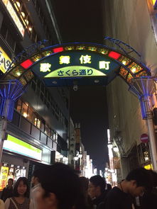 第四天：从东京到京都——高速列车上的自白