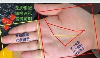 二、 地纹——生命线：健康与寿命的隐形计时器