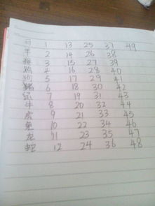 49周岁属什么生肖，49周岁是哪一年出生的，这是指哪一年的生肖？