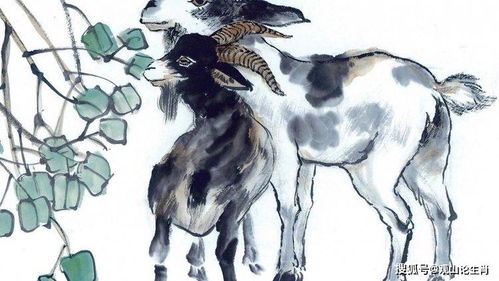三、属羊的人：保寿官碰煞星，大吉还是小凶？