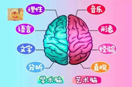学霸也崩溃的十二生肖诗歌