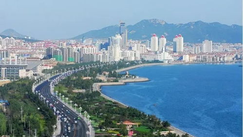 中午：一场惯与味蕾的豪赌与生化危机