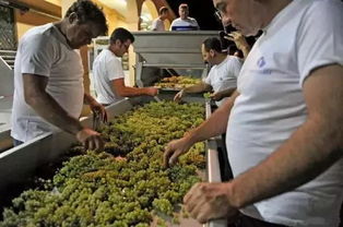 ④ 兔年与月光：银辉中的幽幽哀歌