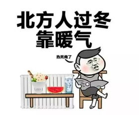 过来人血泪史：那些年我们踩过的坑