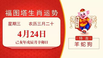 各生肖今日运势详解