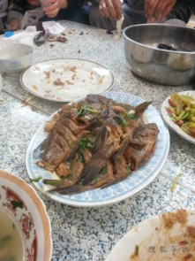三、美食美景，尽享春光