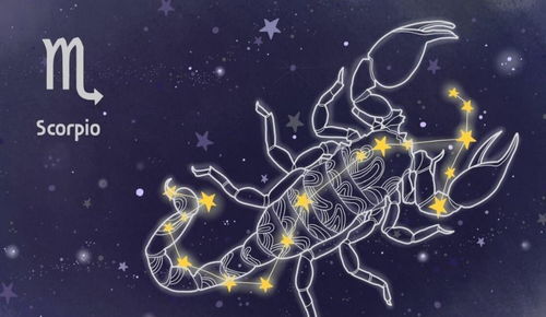 星座大爆炸：柔弱外表下的暴脾气