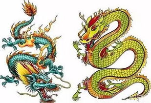 6、 如果你正良好是一位屬龍或屬馬人士，你該怎麼處理這份關係呢？讓我們給出一些實用建議吧！ (附上一點噪音)