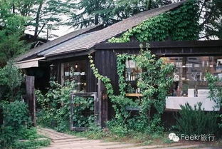 #1·山顶咖啡屋# （非官方经营）