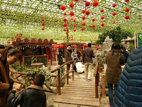 五一去哪里？这是个问题