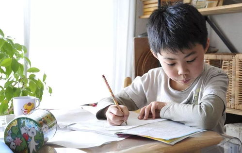 虎娃子：学习是什么？能吃吗？