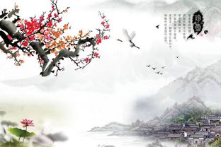 李宁阳：安宁与智慧的典范