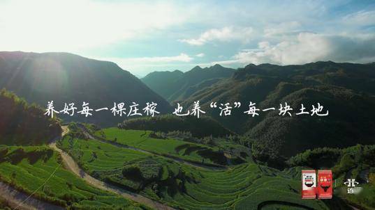 双星旅游公司玩了些什么花样？