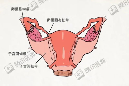三、 岁运与原局的微妙交错（噪音篇）