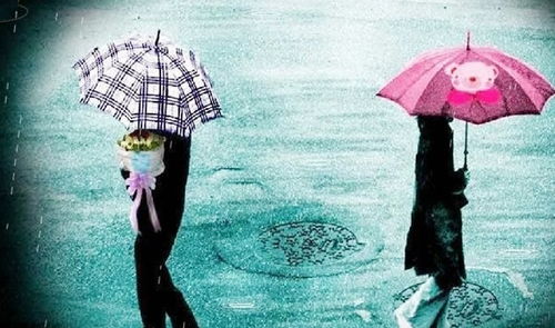 星座迷思大爆炸：爱情事业怎么选？看完笑死