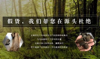男女有别：命运算个球
