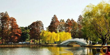 东湖：走断腿的减肥训练营