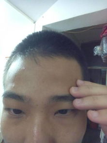 ① 鼠、 牛、虎——眉眼之间的暗号