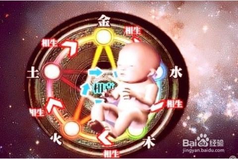 不宜有“田”字根的字