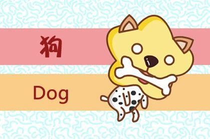2026年生肖狗全年运势详解，每月运势具体是什么？