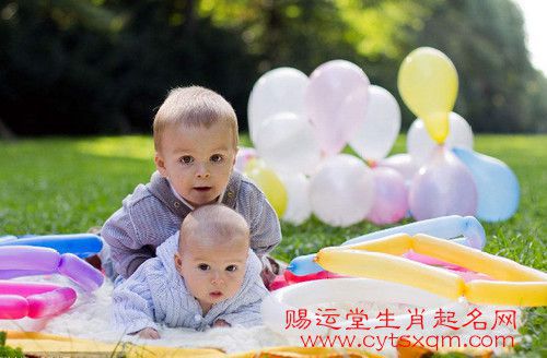 二、吉祥与寓意：到底该挑哪个？