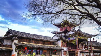 春日足迹：漫游运河沿岸与山水之间