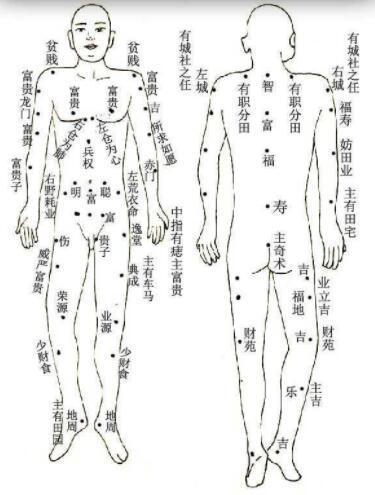 七败：胖而无收——虚肉一堆藏不住财