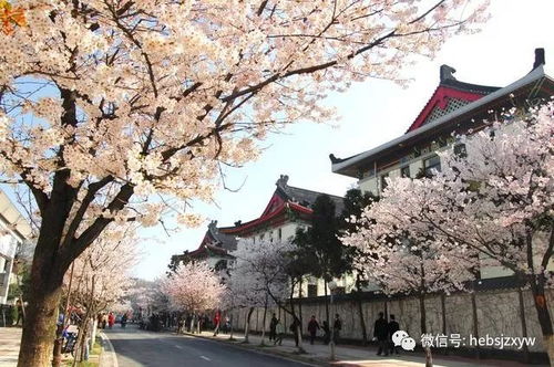 青岛驴途无忌户外 加入我们一起出发
