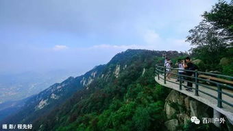 2026年最新生存指南