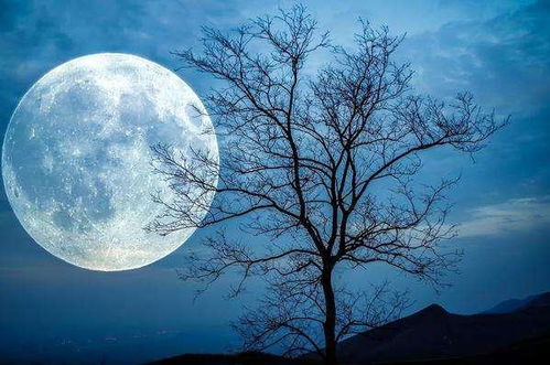 关于那个地方的一些想法