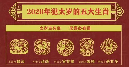 鸡年运势播报